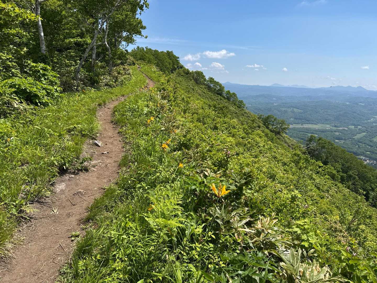 登山道はこんな感じ🙂