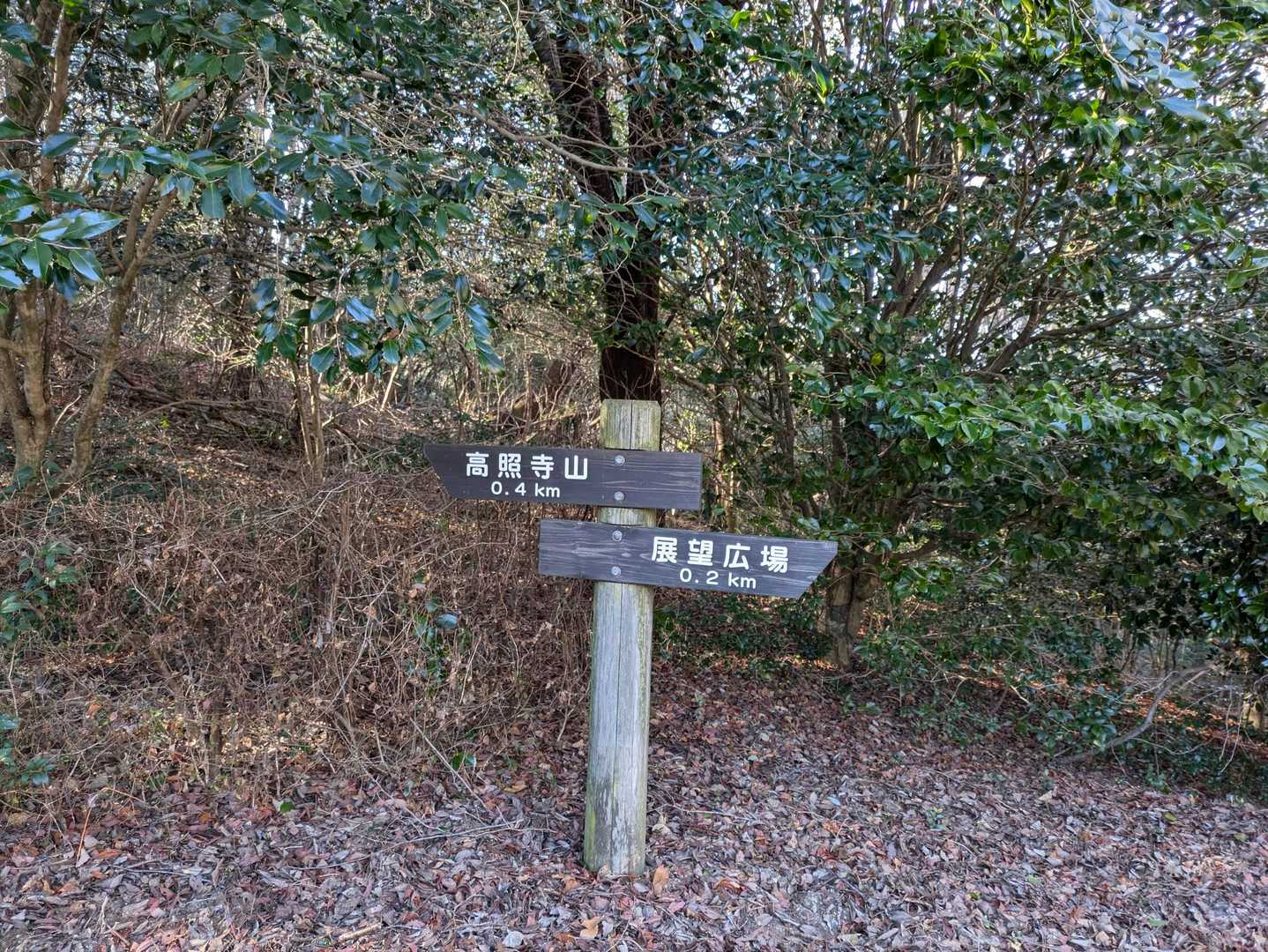 高照寺山 往復コースの写真