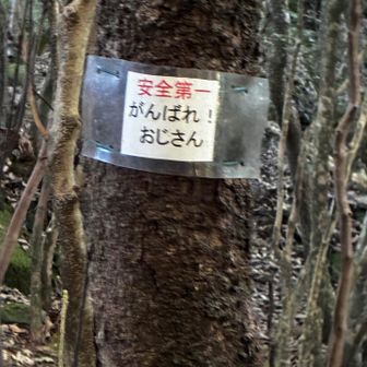 黄色い声援📣