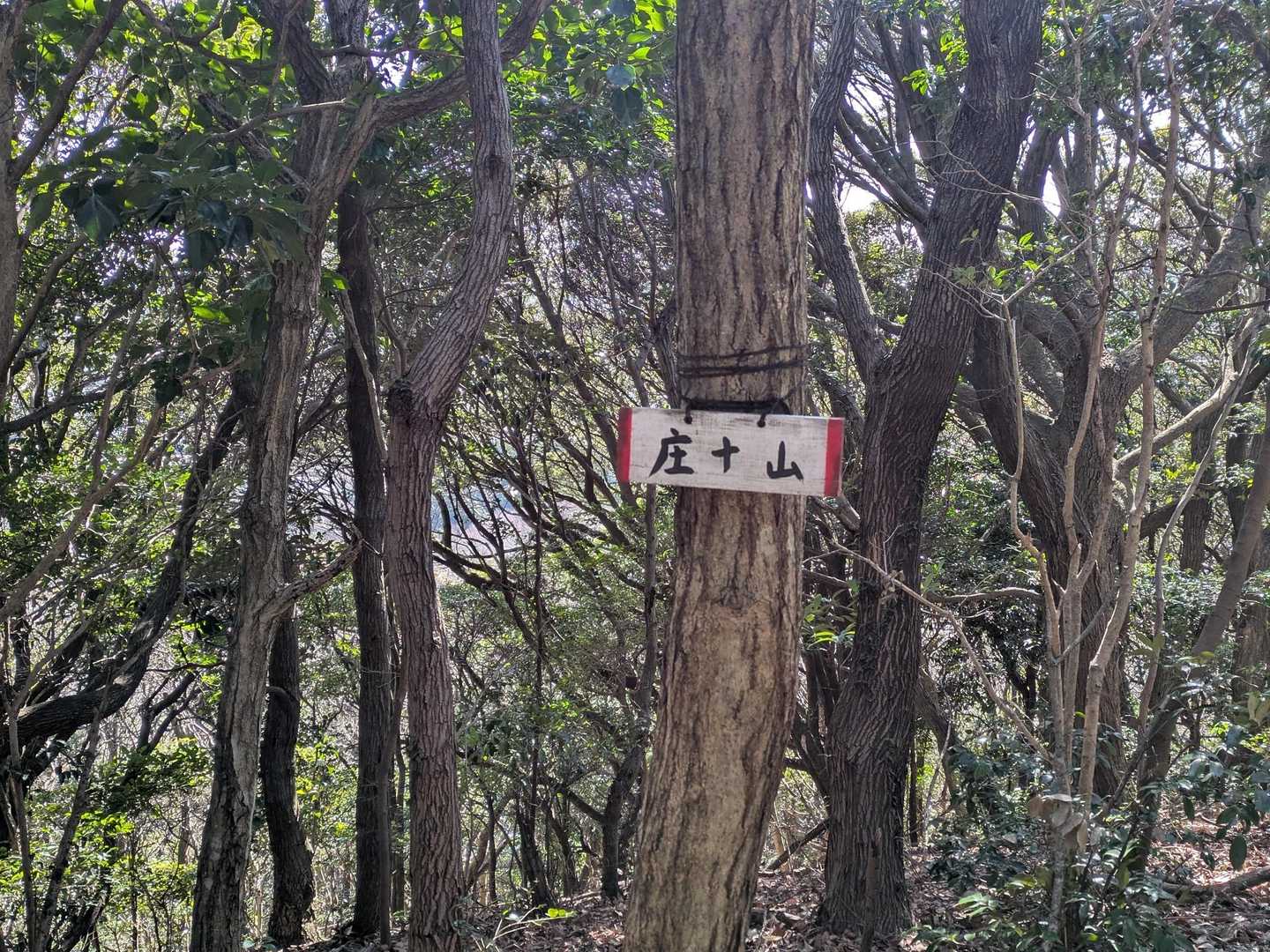 今日の九座目、庄十山⛰️
ワンコ🐕️の前足部分です。