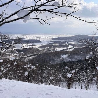 お。HONDAかなあ？