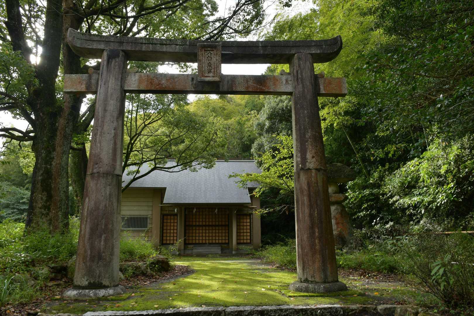 井野山 往復コースの写真