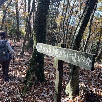 ここからグレーピークへ行きますよ🩶