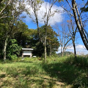 山頂は広〜い