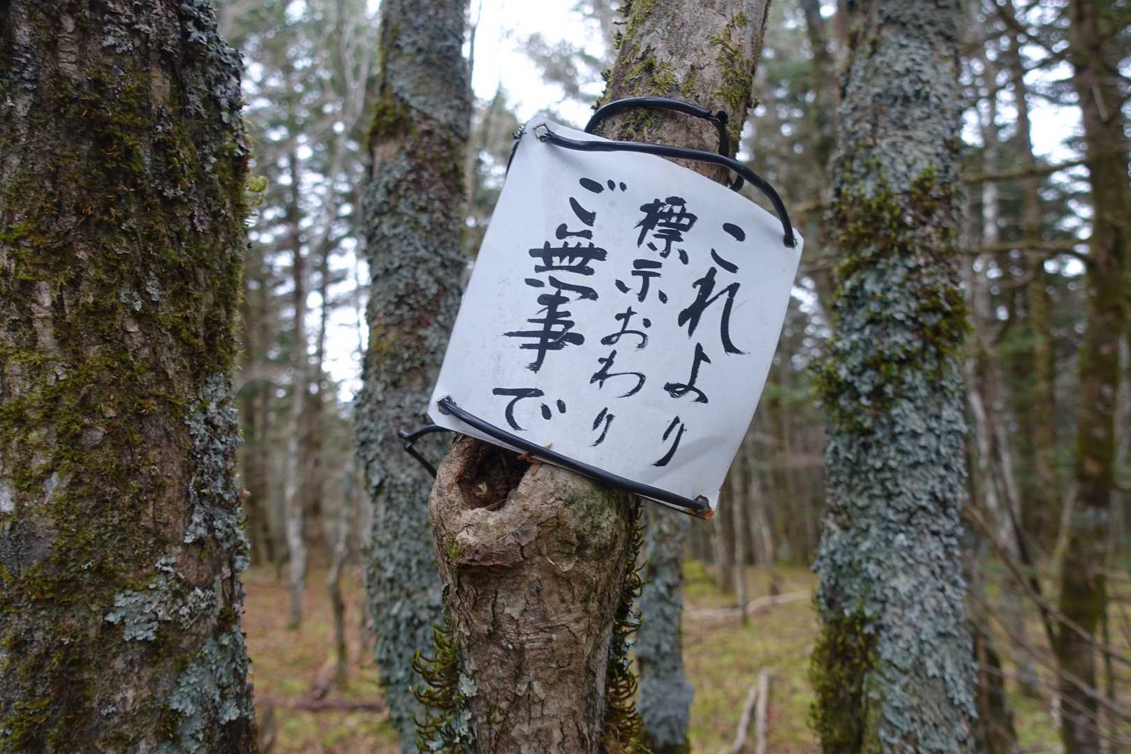 いよいよです