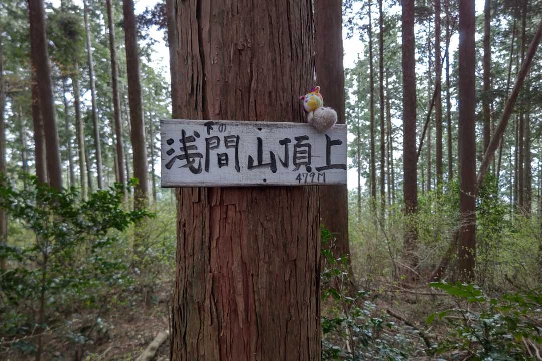 愛知130山Get😊✋
次は上の浅間山へ🚶