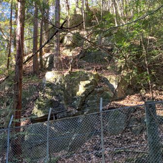 ええと🤔

球状花崗岩…？
わざわざ見にくるようなものではありません！
だって「どれが？」状態なんだもの…


豊田市はもっとちゃんと観光資源生かせよって心の中で絶叫

納税者あるあるである
