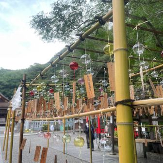 風鈴の催しは初めて観ました🎐