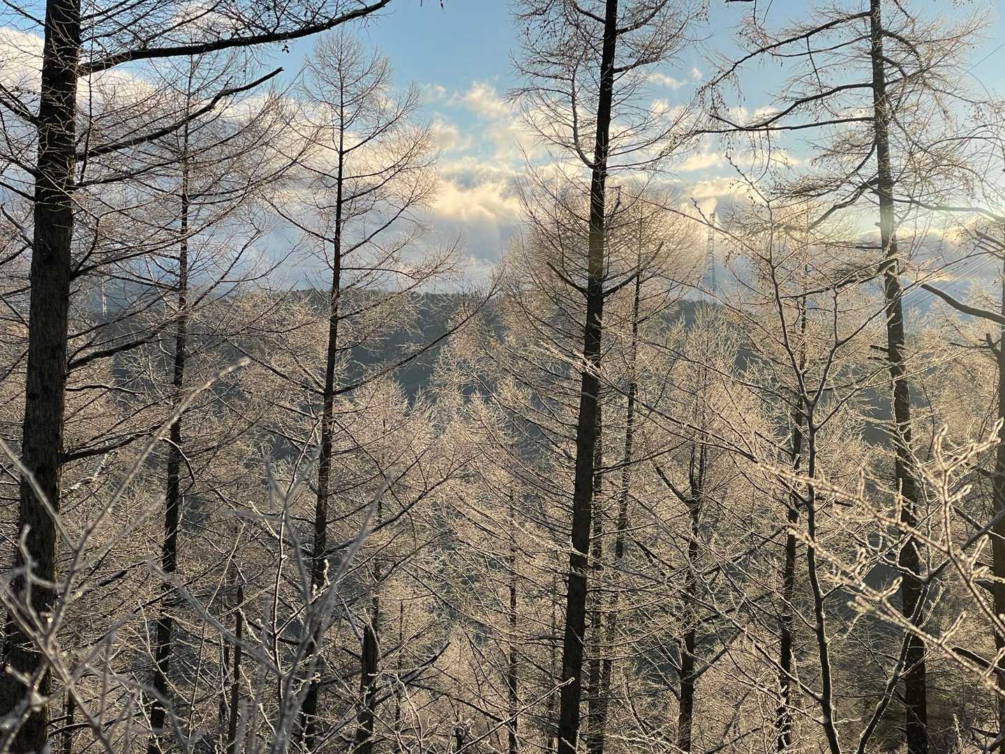 霧氷❄️