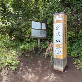 景信山の山頂標。