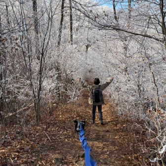 犬も人間も大はしゃぎ
テンション上がります☝️