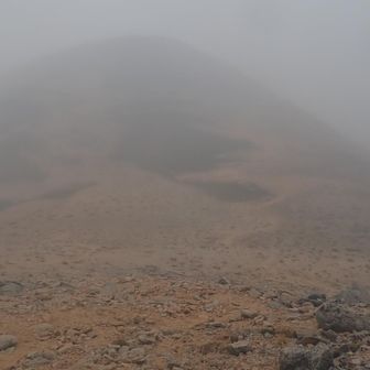 右から風雨