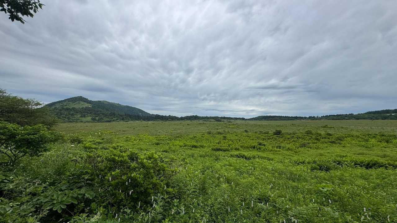 霧ヶ峰（車山・南の耳・北の耳・男女倉山）・八島湿原、高原周回ハイク の写真 22