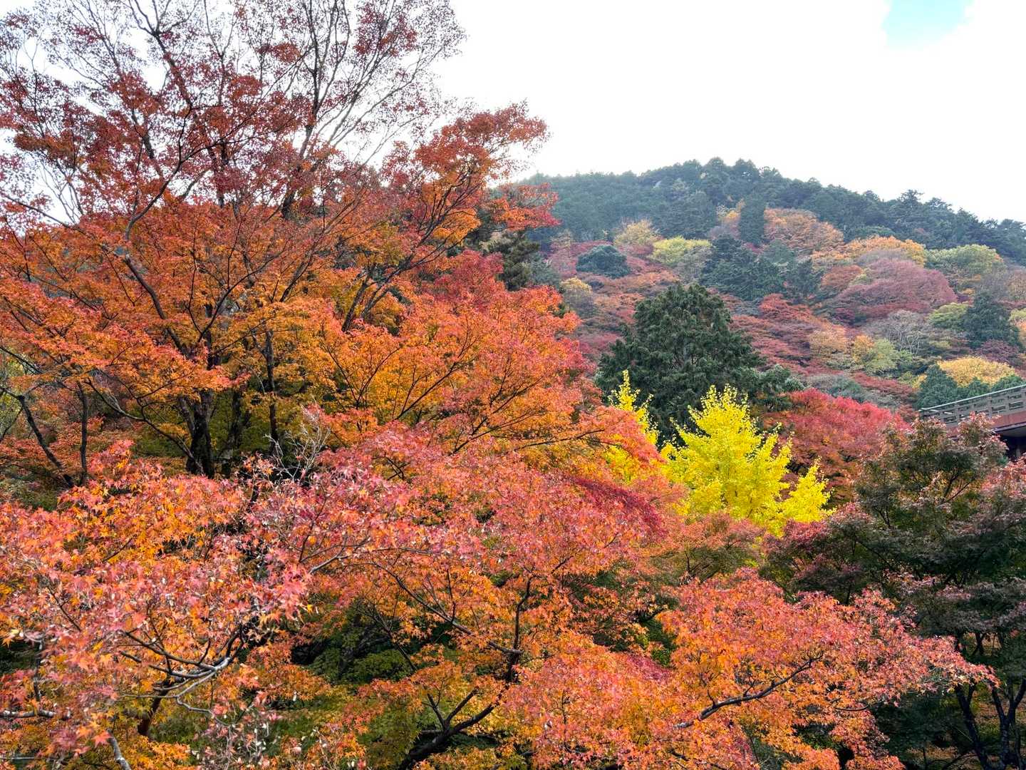 釈迦岳-ポンポン山 周回コースの写真