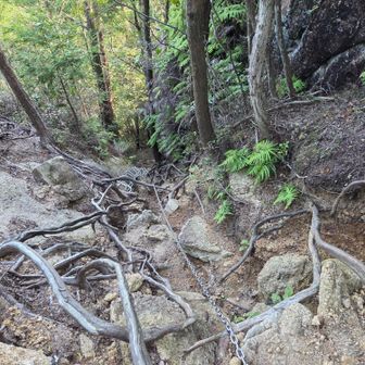 中岳へ。長い鎖場が続くけど、切れ落ちてる訳ではないので、恐怖感はなし