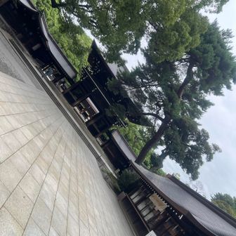 気持ちと裏腹に神宮へ。