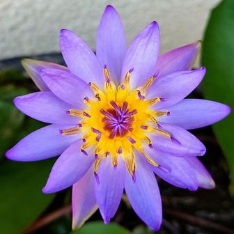 せんちゃん🚴🧗🏃‍♂️🚶‍♂️