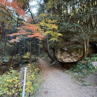 ここから登山道です。