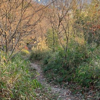 最近は下りはストック必携