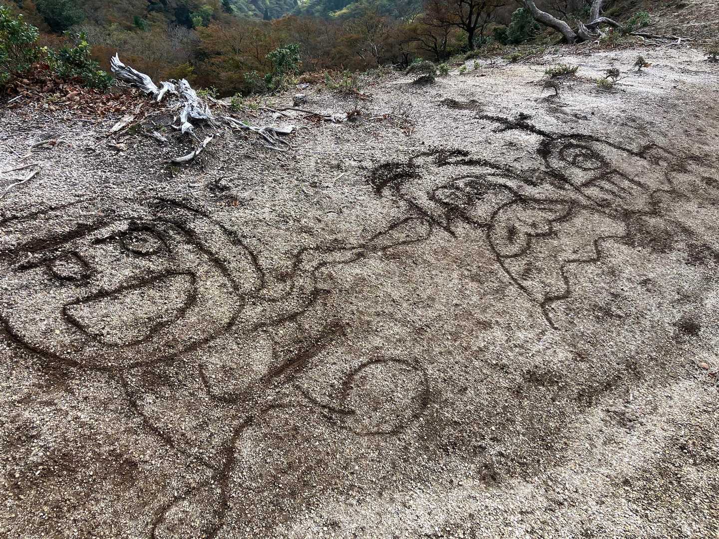 えっコレが地上絵？