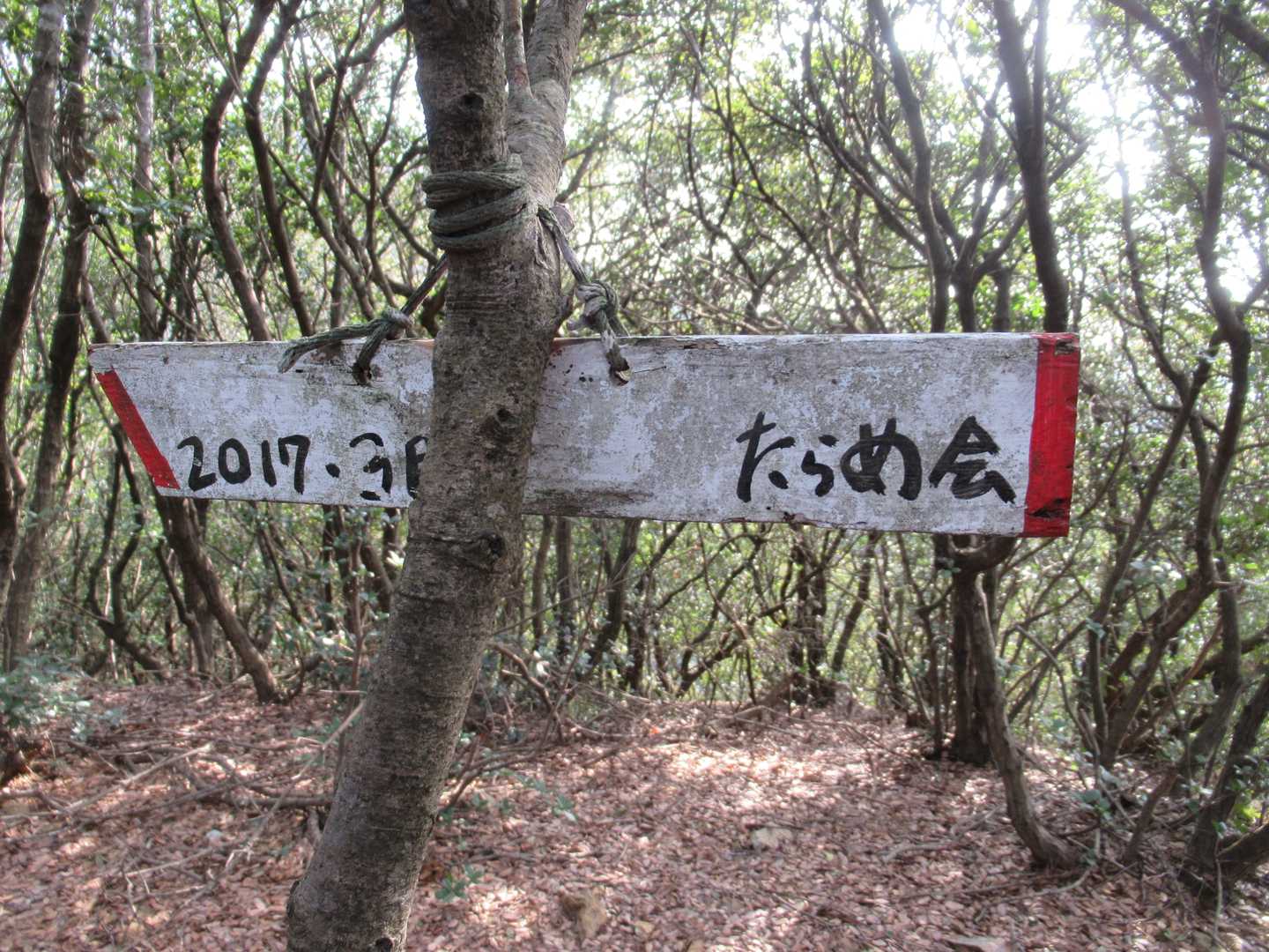 コトギス-すり鉢山-七つ山 往復コースの写真