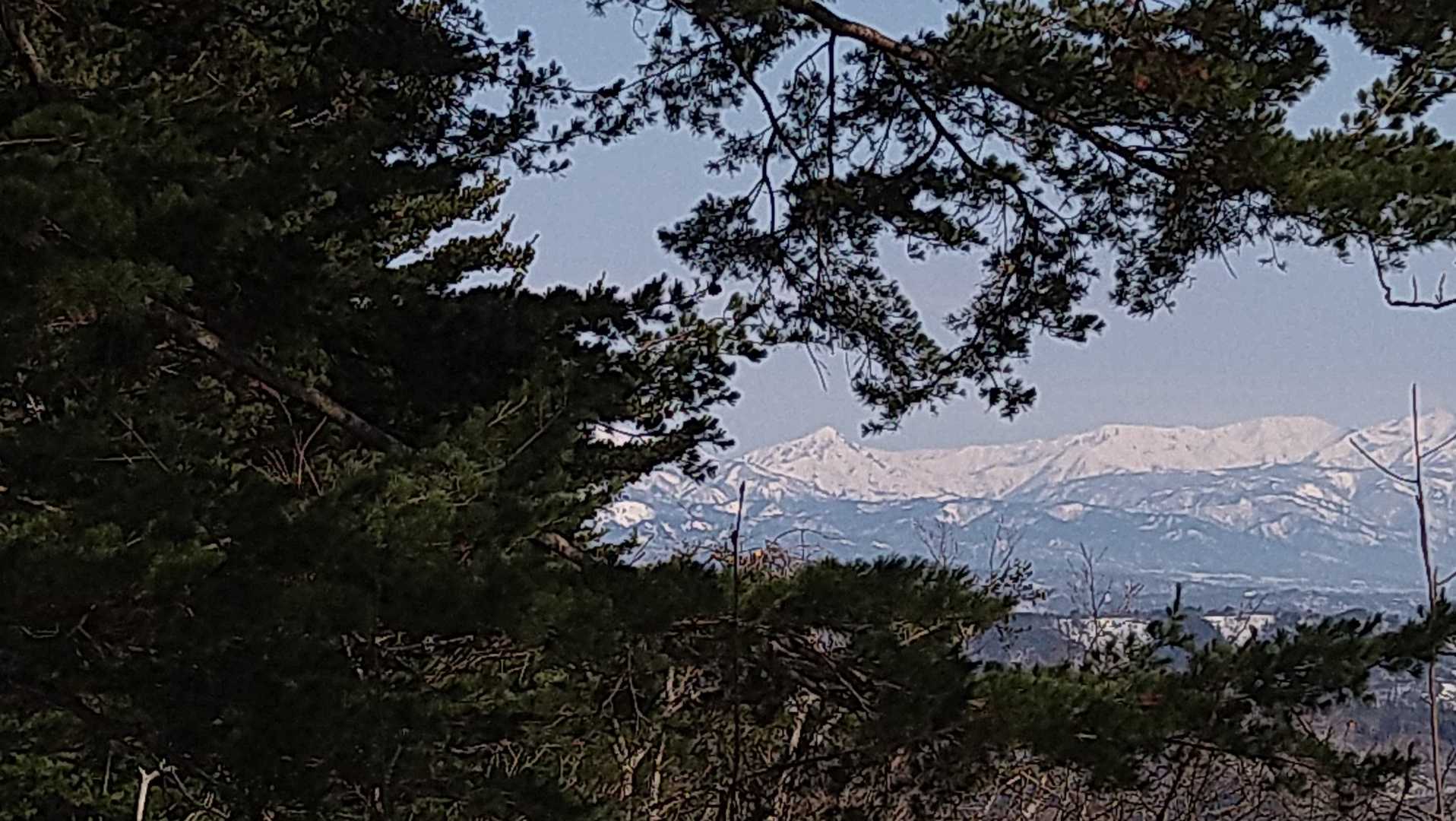 祝瓶山がカックいい！