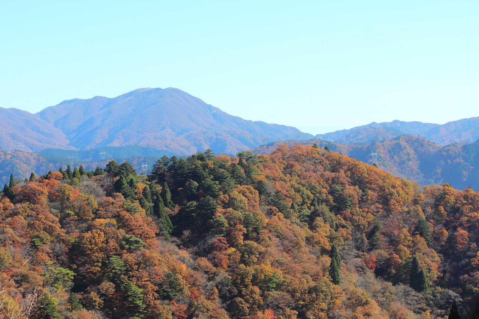このあたりが最もひらけていました。