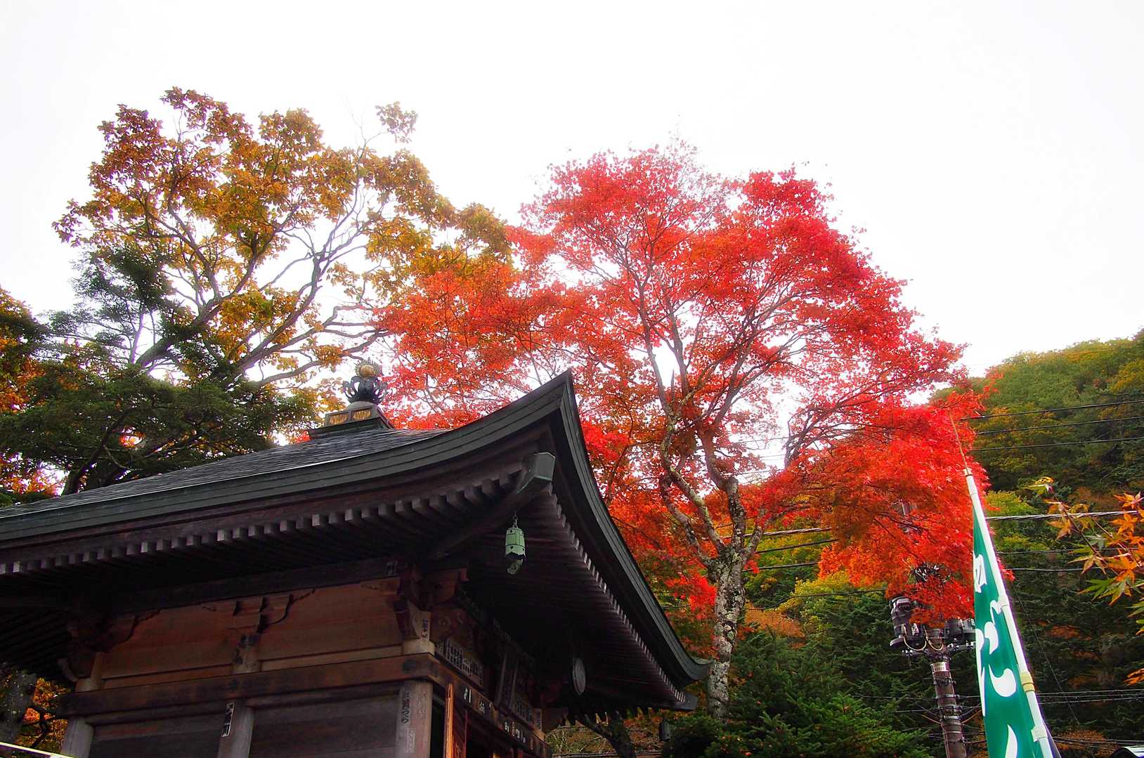 お堂と・・
真っ赤な紅葉・・
・・ここは京都か😅・・・
・・JRいい日旅立ち・・
白いキャンパスに・・
「赤」が映えます💖
