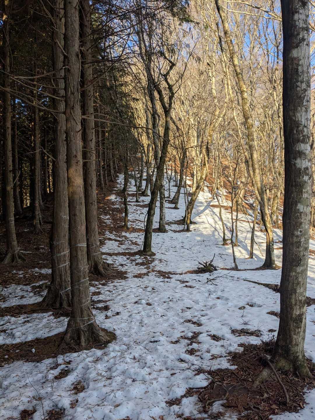 雪が出てきたが、最後までチェンスパ使わず行けました