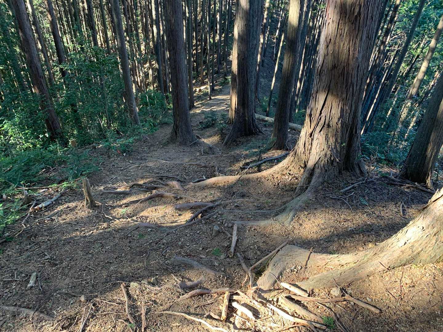 登った途端に降ります💦