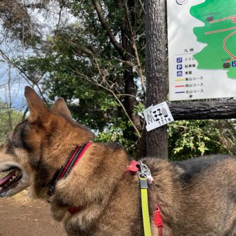 4つ目。