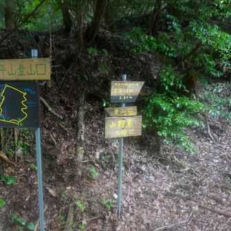 武名ヶ平山登山口に無事に下山🙇‍♂️