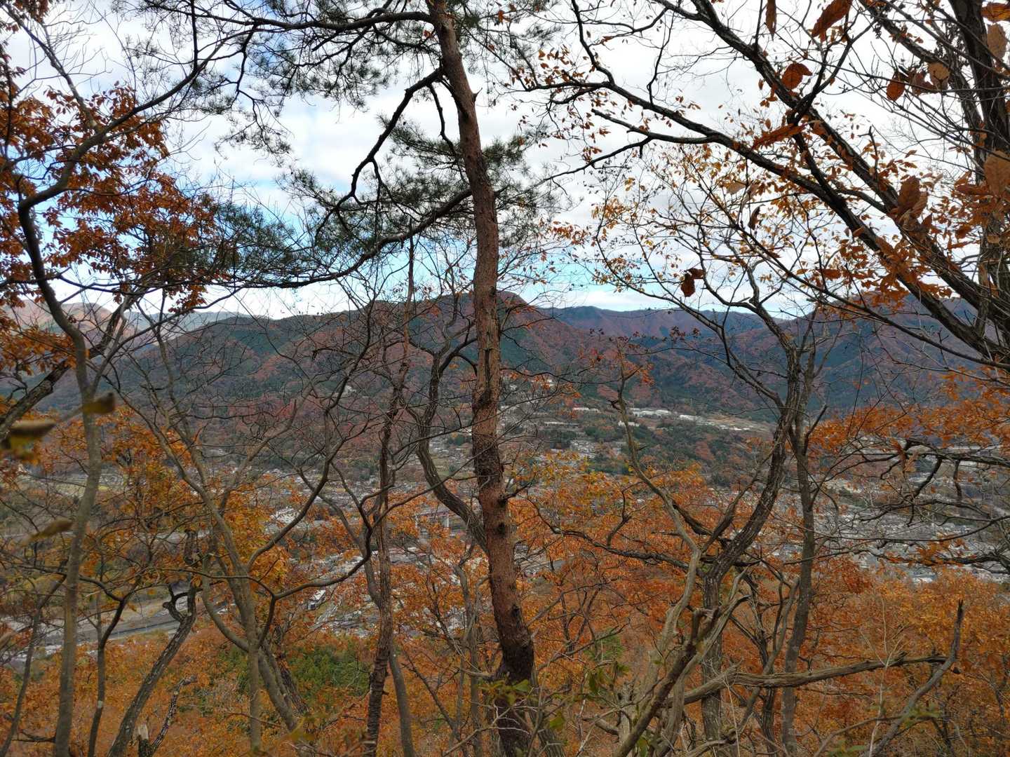 大月駅-菊花山-厄王山-猿橋駅 縦走コースの写真