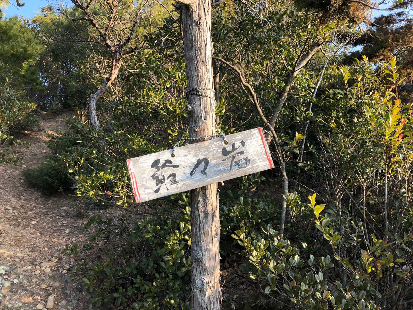 ここは、後でゆっくりする場所にしたから
ポーズは容赦させていただこうか？