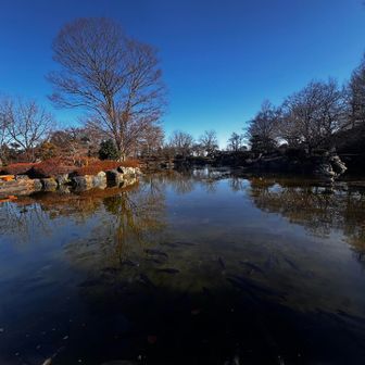 ちょっと道間違えたけど、無事に庭園に着！
あとはロウバイを見つけながら歩きます。