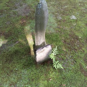 法然院に降りてきました
静かな光を湛えたガラス