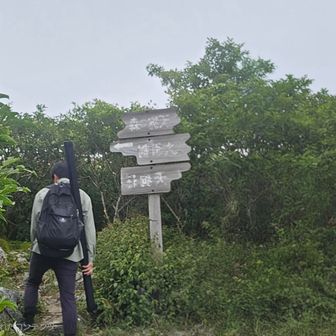 昆虫（セミ）ハンターと遭遇、人生、至るところに楽しみがある＼(^^)／