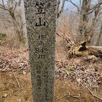 笠山と言えば、小川町でしょ。笠山登頂。