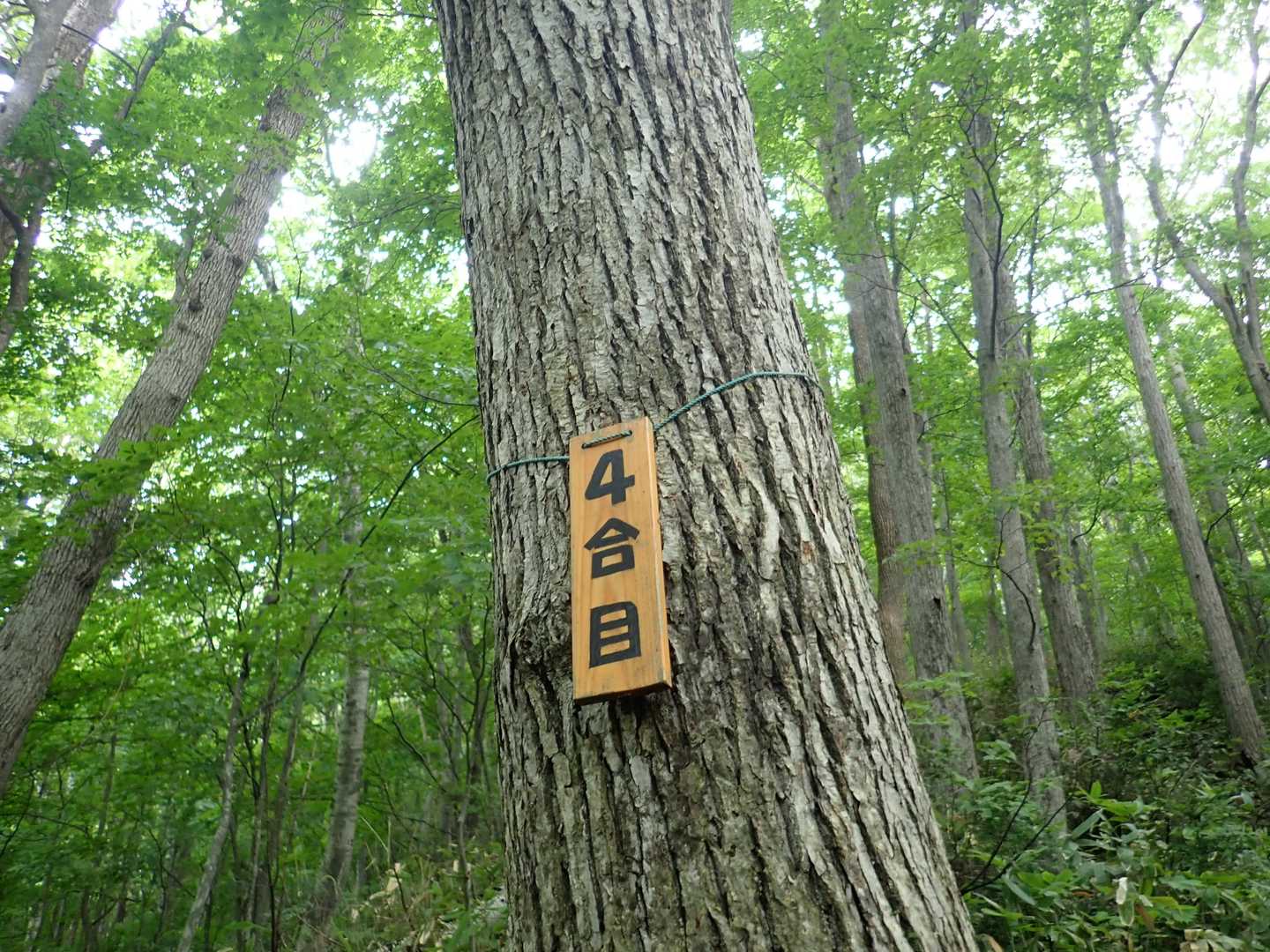 4合目
4～6合目の標識は初めて見た