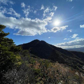 標高の割になかなかしんどかった💦