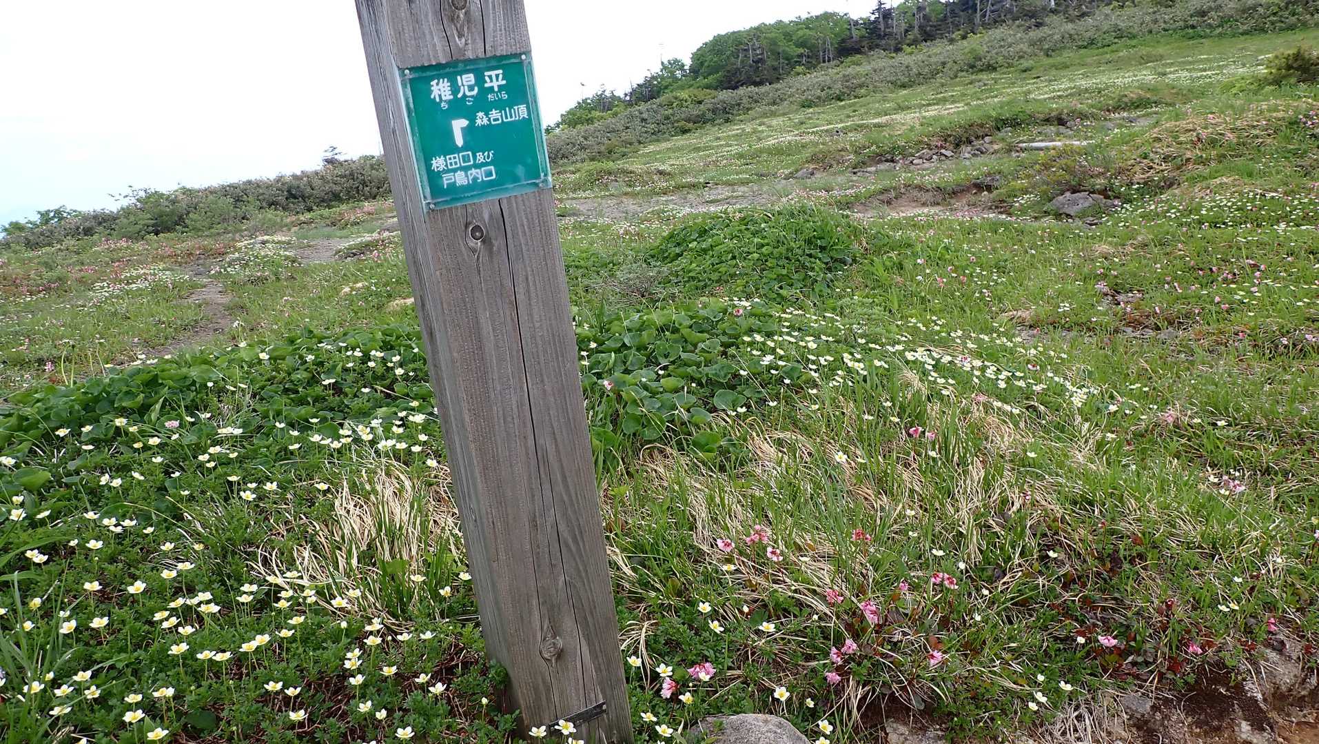 ゴンドラ山頂駅舎-森吉山 往復コースの写真
