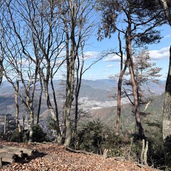 反対側はこんな感じ。