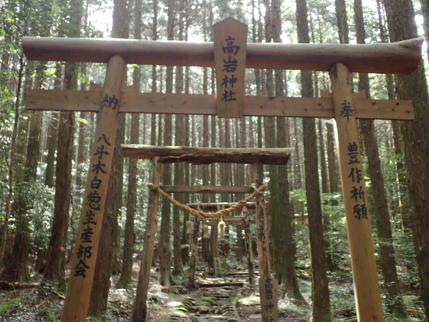 前半はずっとこんな道が続きます