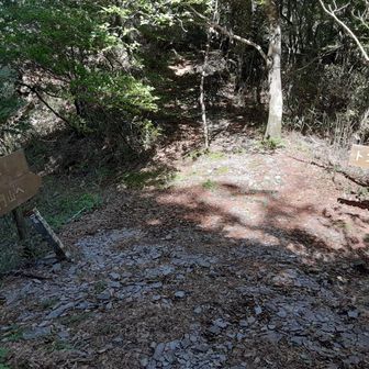 ここから　西門へ行って帰ることになるのですがトンネル口から舗装道を数百Mで右側にピンテと尾根へ登る道が細々みえますので　そこを越えれば旧登山道へつながってます