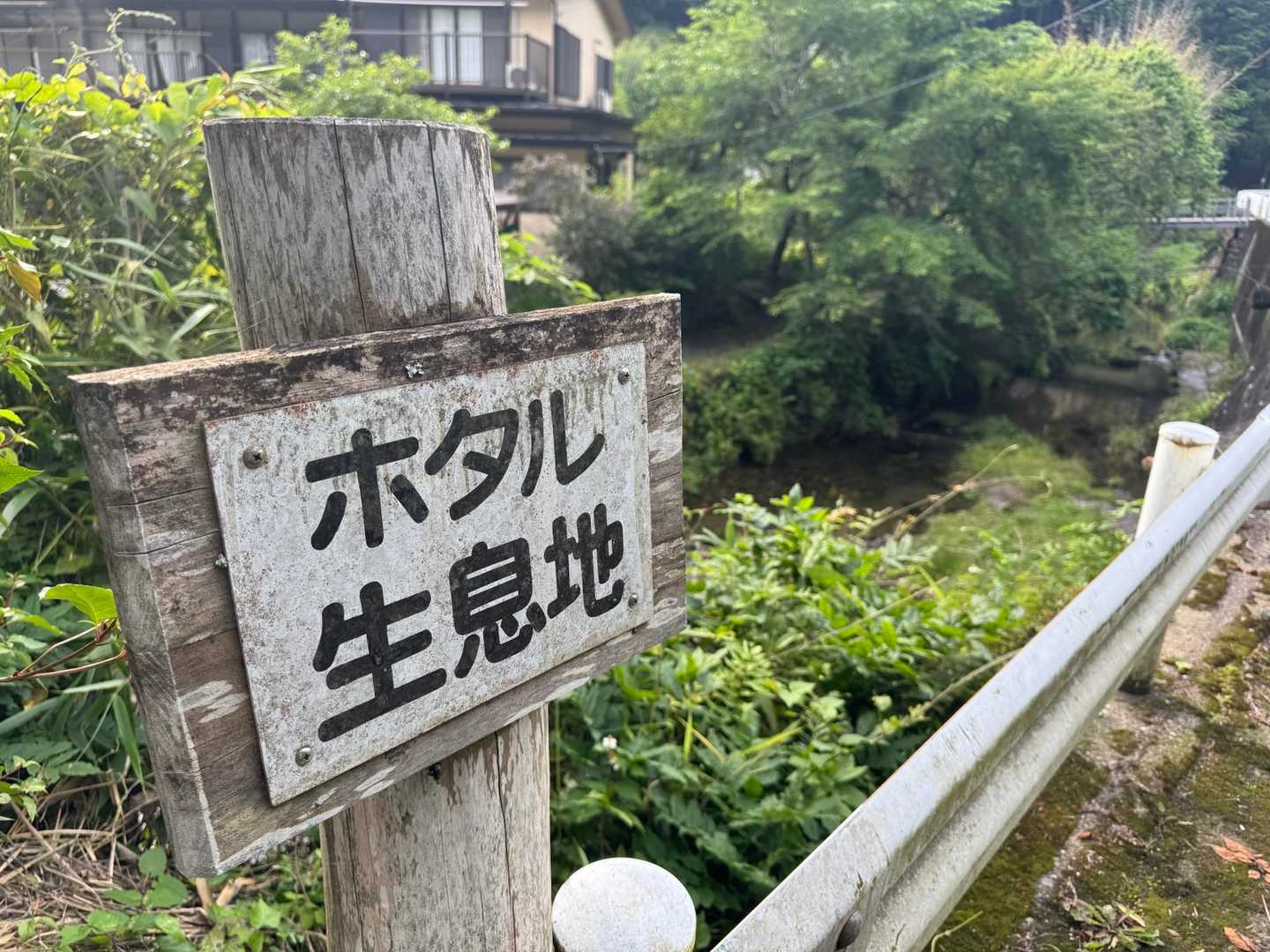 ほぅ

- fin