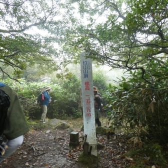 山頂到着