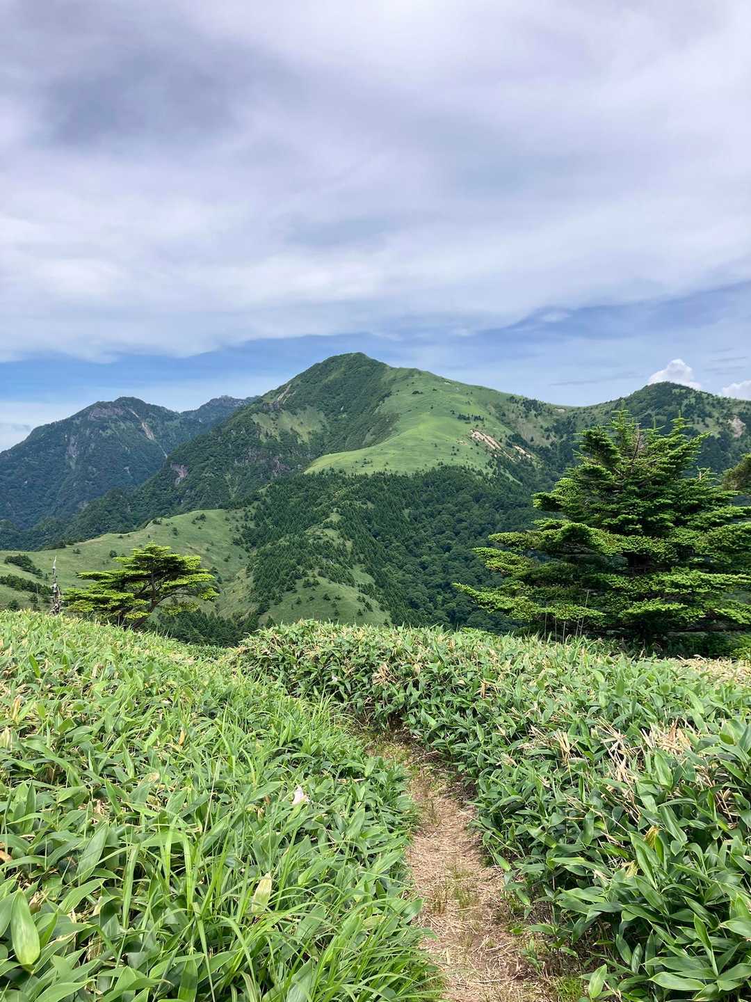 保井野登山口-堂ヶ森 往復コースの写真