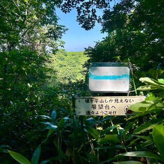 展望台寄ってみた