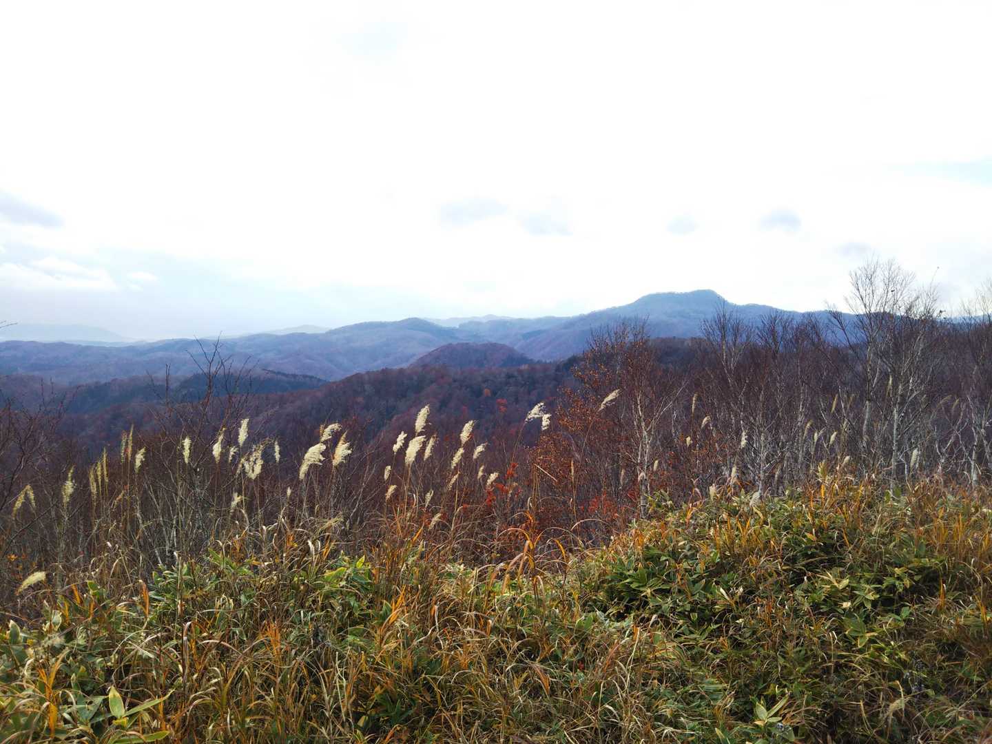 冬に登りたい三森山