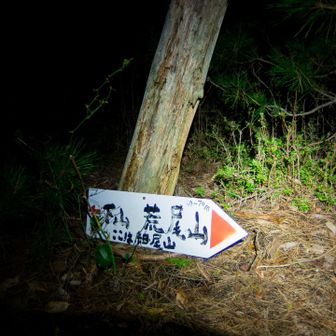 細尾山というようです。